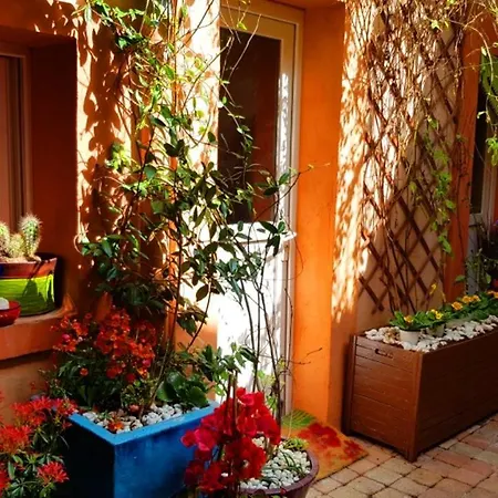 Petit Patio En Centre Nimes