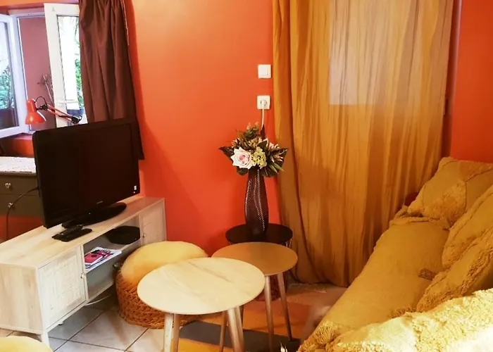 Petit Patio En Centre Appartement Nîmes